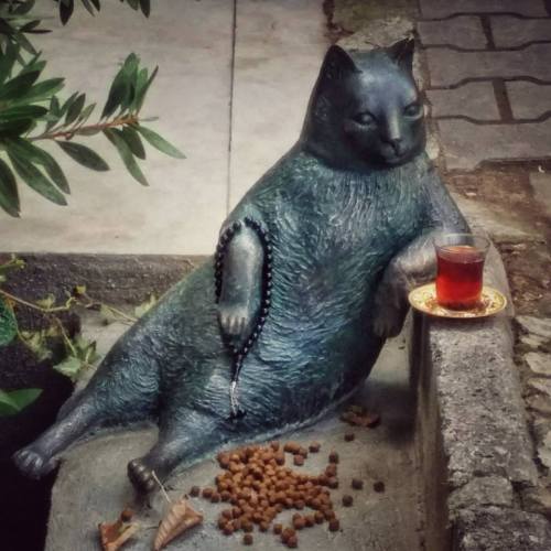 catsbeaversandducks:Tombili: Istanbul cat and worldwide meme honoured with statue‘Tombili’, a rotund