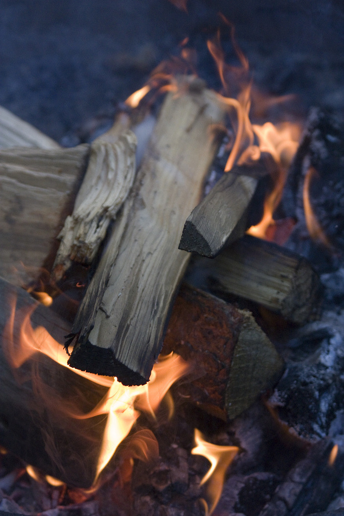 brutalgeneration:  Ricketts_Glen_Camping_Trip-4137 (by drexelpike) 