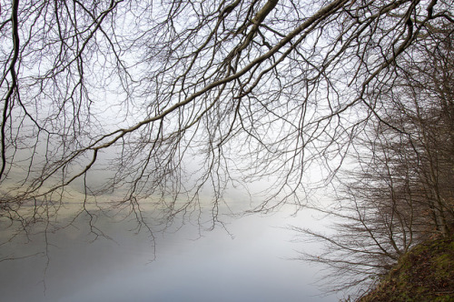 A foggy morning at Ladybower by Keartona on Flickr.