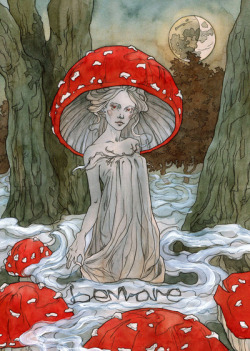 feather-haired:  Fly Agaric Faerie by Liga