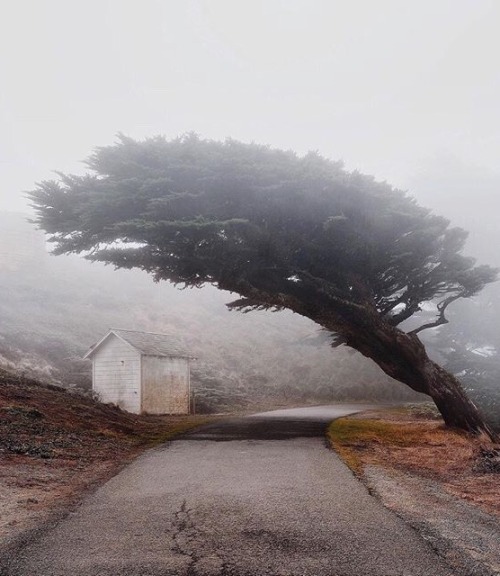 delta-breezes:   Brock Sanders | @mrbrock21 
