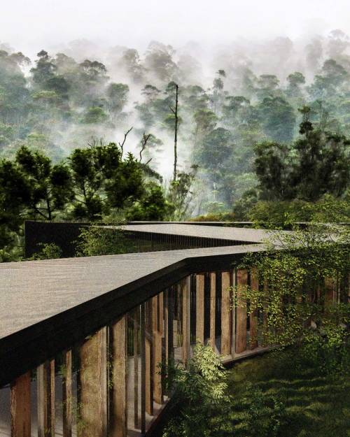 Farmhouse, Catargo, Costa Rica,Tetro Arquitetura