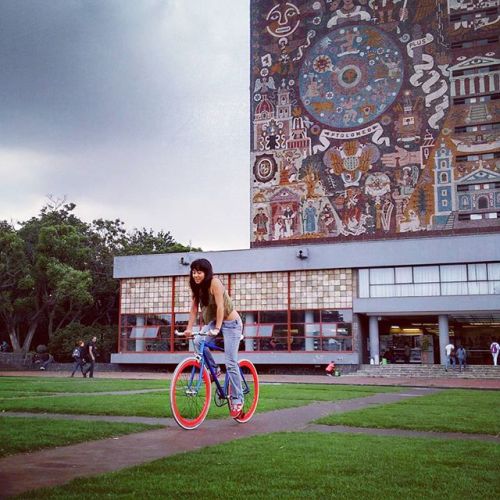ifuckinlovefixedgearbikes: #fixie #fixedgeargirl #fixedgear #unam #cycling by dianipatito
