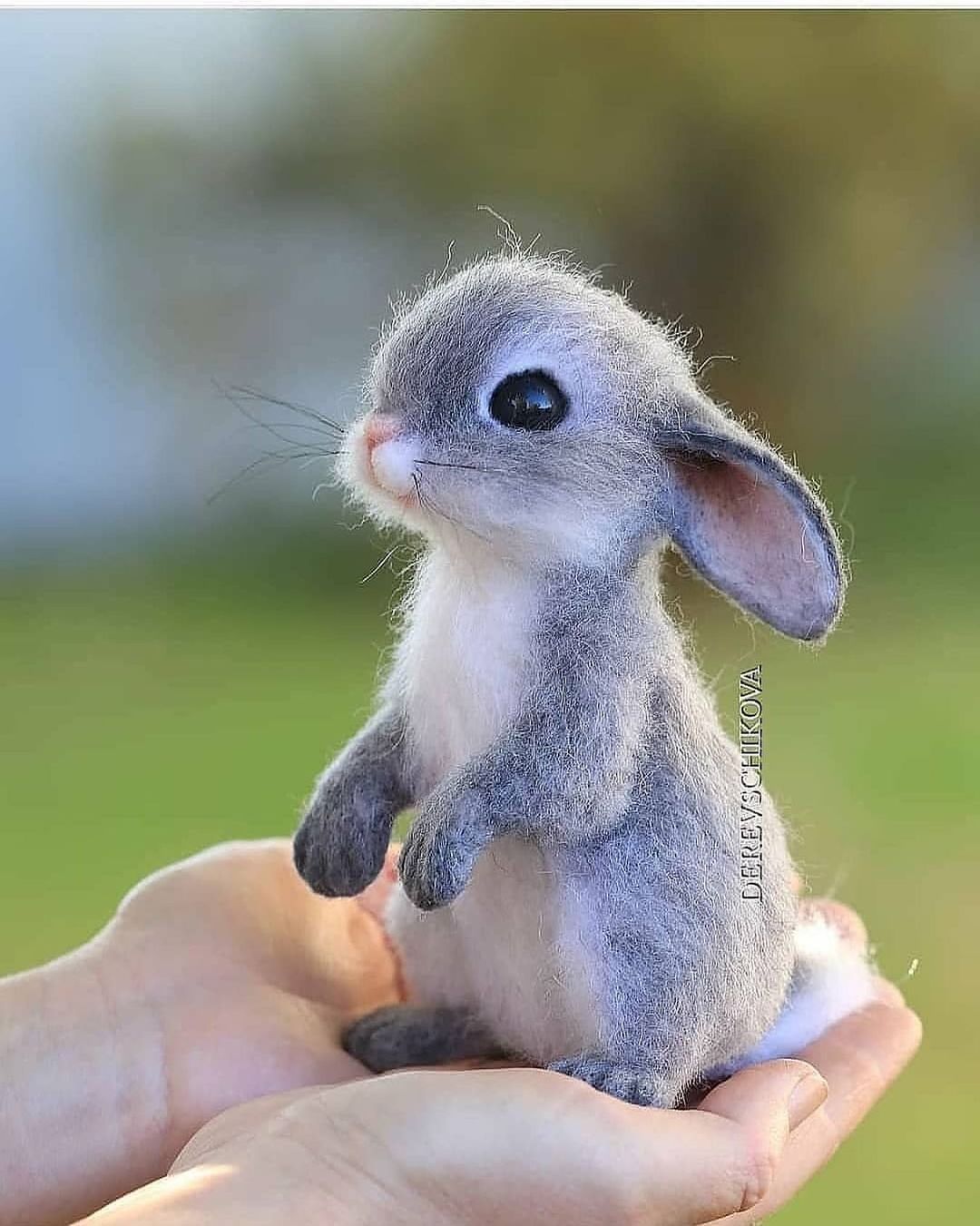Sassy bunny onlyfans