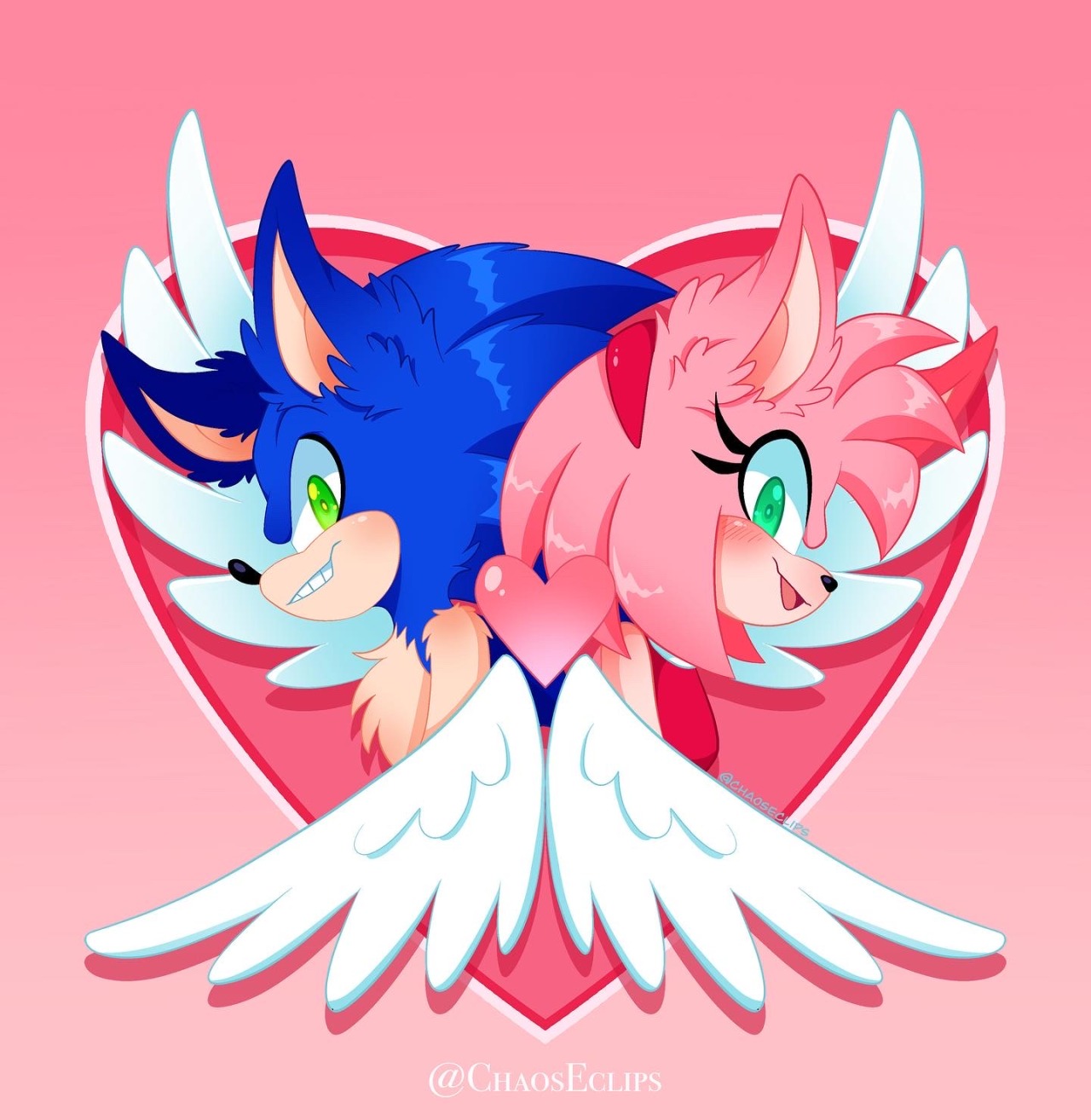 ʜᴇʟʟᴏ ᴡᴏʀʟᴅ」  Hedgehog art, Sonic and amy, Sonic heroes