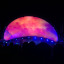 wildfluorescence