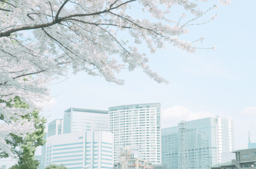 marucoxxx: 04/2014 - Shinagawa,Tokyo,Japan