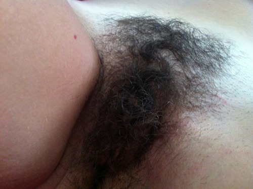 XXX Hairy hairy photo