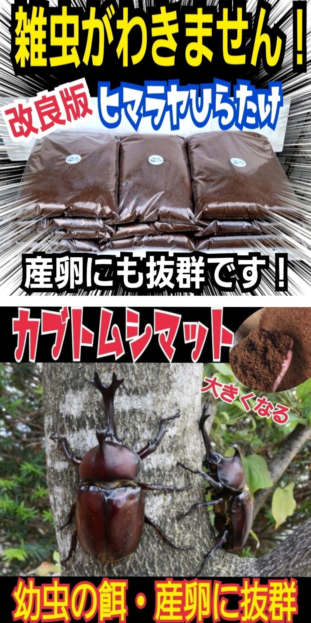 好評にて期間延長 カブトムシ幼虫の餌 産卵に抜群 発酵マットコバエ