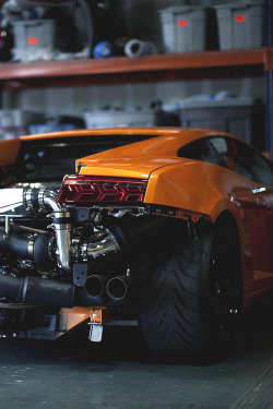 atlasofvanity:  Naked Gallardo || Atlas 