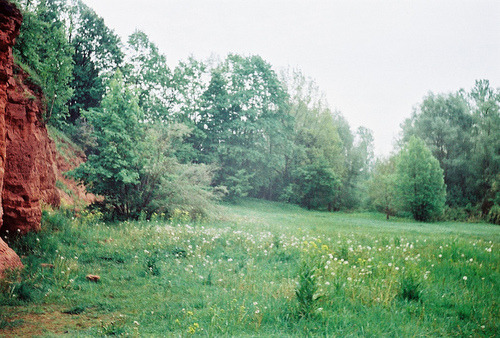 justasimplefeeling: ♡ hipster/indie blog ♡