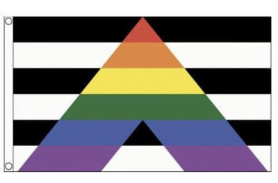 rev-another-bondi-blonde:The Straight Ally flag lets people know that despite not
