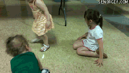 clayorey:  A collection of animals chasing laser pointers, featuring…