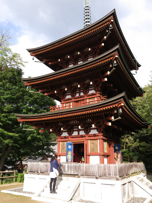 isao-takeda:2016年10月9日　東光山 岡寺 （龍蓋寺）　奈良県高市郡明日香村西国三十三所第7番札所