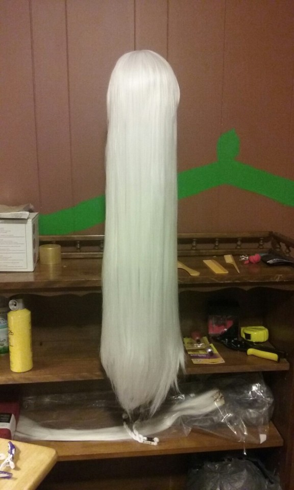 This Is Really More For My Own Records Since No One Looks At This But Me. Got My Inuyasha Wig Detangled