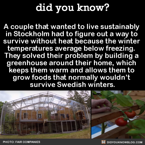 did-you-kno:  A couple that wanted to live sustainably  in Stockholm had to figure