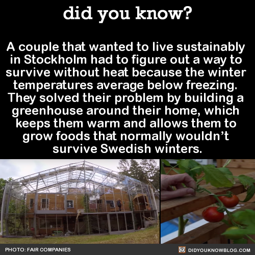 did-you-kno:  A couple that wanted to live sustainably  in Stockholm had to figure out a way to  survive without heat because the winter  temperatures average below freezing.  They solved their problem by building a  greenhouse around their home, which