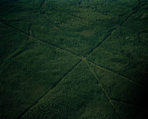 Amazônia do Norte