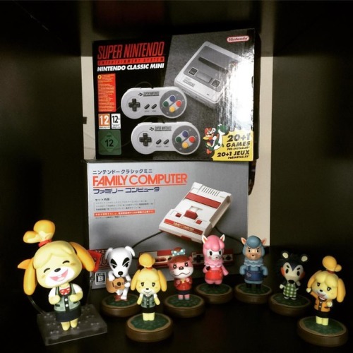 #Nintendo #ACNL #animalcrossing #amiibo #animalcrossinghappyhomedesigner #supernintendomini #superni