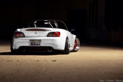 deividbersta:  White collection