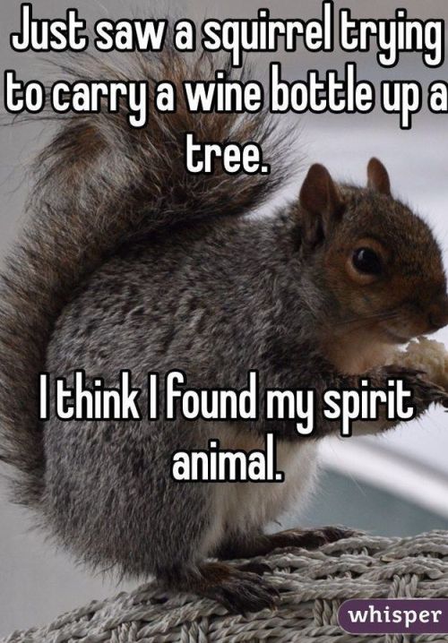 electricfunny:  Funnny Pics
