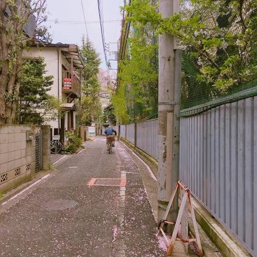 uchubee: @thesoru on ig