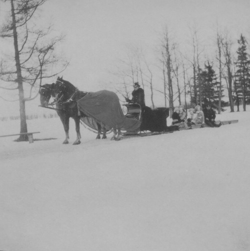 Tsesarevich Alexei Nikolaevich, Grand Duchess Olga Nikolaevna, Grand Duchess Anastasia Nikolaevna, G