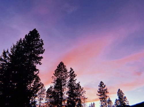I Like To Think That Every Time An Artist Dies, Gd Lets Them Create One Last Masterpiece In The Skies.