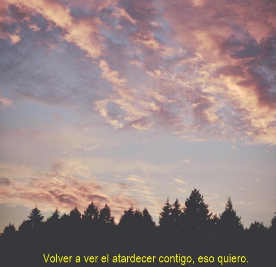 tengo-que-dejartee-ir:  u_u