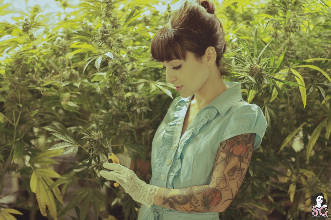 past-her-eyes:   Damsel Suicide + Dimples Suicide + Brewin Suicide www.suicidegirls.com/girls/damsel