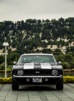 Muscle Car Instant