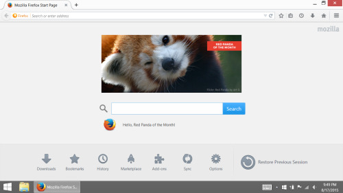 sarahexplosions: [screencap of a Firefox start page, that is featuring a photo of a red panda winkin