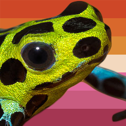 witchfrog: lesbian frog icons !!  lesbian flag by @sadlesbeandisasterflag edit by @tuskact5