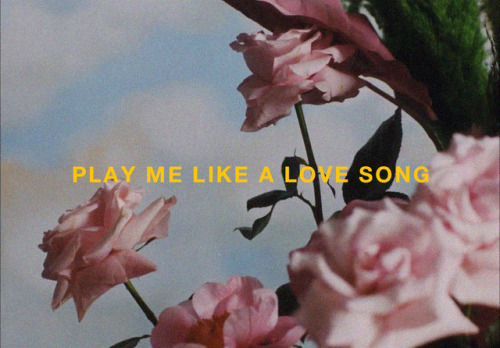 lunechanson: troye sivan // bloom