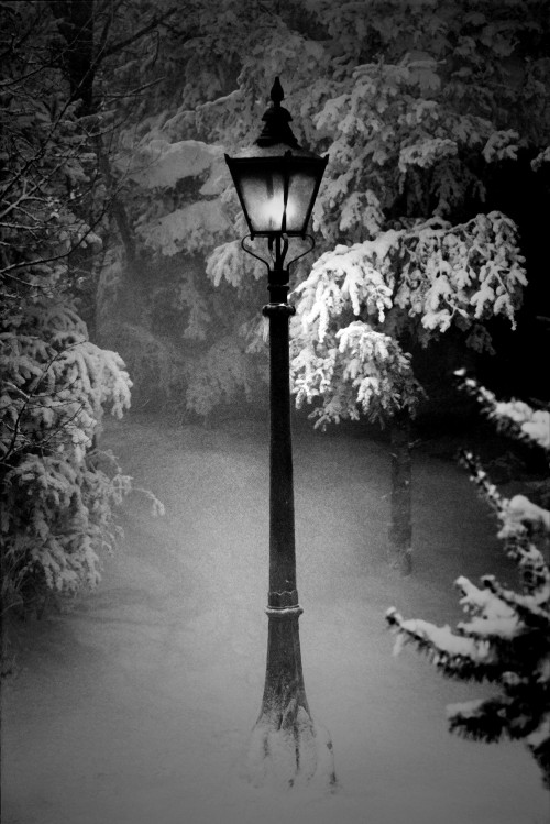 XXX thenightwhisperer:  The Lamp-Post in the photo