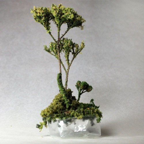 gregoryeuclide:  Protected Lands - Landscape built on a 1 inch piece of bubble wrap. 2014 