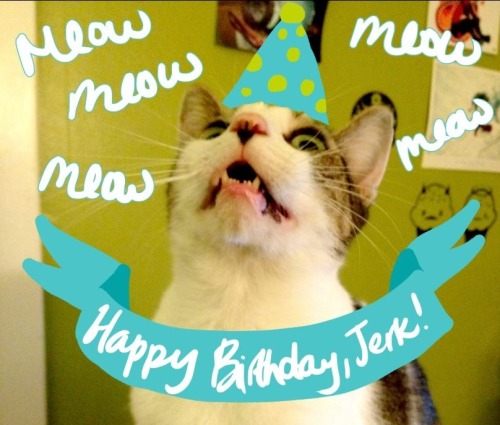 HAPPY THIRD BIRTHDAY YOU STINKY BUTT CAT