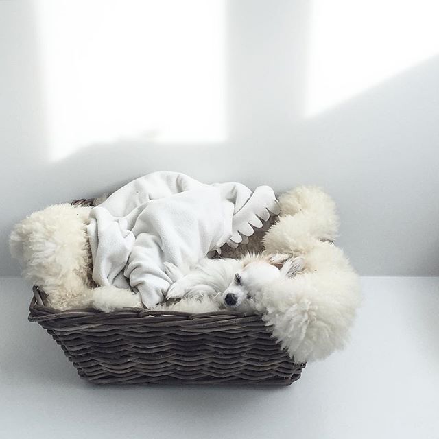koffxe:  allurial:  xo  K O F F X E 