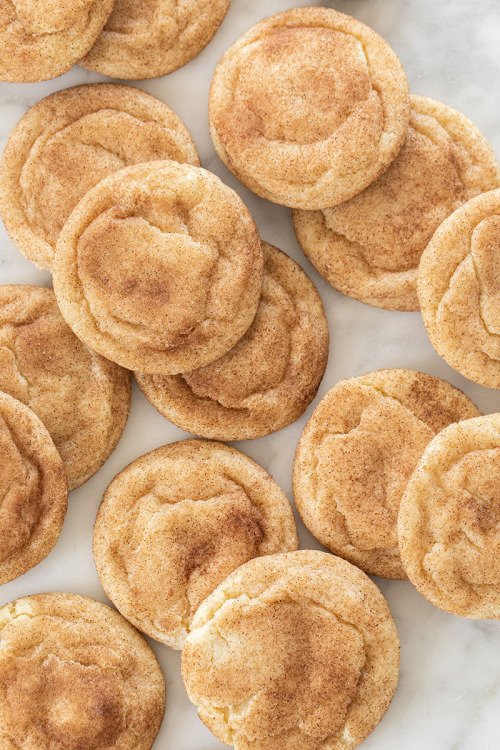 sweetoothgirl:    The Perfect Chewy Snickerdoodle