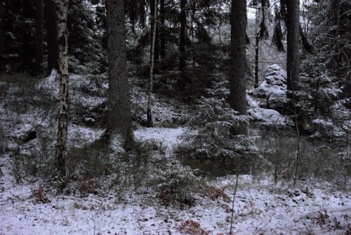 morganathewitch:It has snowed!