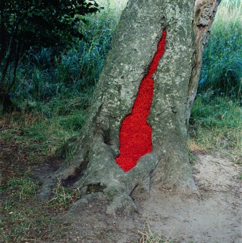 crossconnectmag: Nils-Udo (born 1937) is a Bavarian artist who has been creating environmental art s