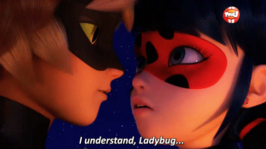 Chat Kisses Ladybug