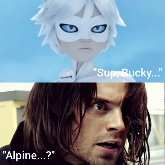 Cat Blanc Meme Explore Tumblr Posts And Blogs Tumgir Cat Blanc Meme Explore Tumblr Posts And Blogs Tumgir