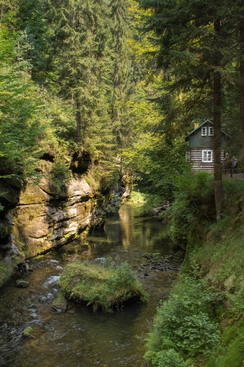 firefliestaketotheskies: Little hut in the forest,  Elbe Sandstone Mountains, Czech Republic, A