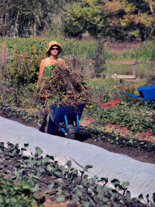 The Drought Fighter (long read)Could a controversial farmer in California have found the most effect