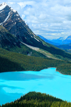 chvmeleon:  Peyto Lake Blue by Cole Chase