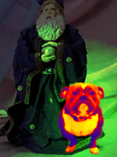 wizardjpeg: sweetbabyraysgourmetsauces:  wizardjpeg:  sweetbabyraysgourmetsauces:   wizardjpeg:  you don’t know what damage or harm i could do if i were roused  Hi!   oh hi sweet baby ray  Take my sauce dog you magical coward  