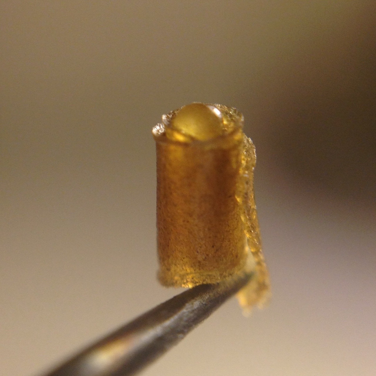 shine-my-way:  Phantom Og flower rosin made with love, making this stuff is so rewarding.