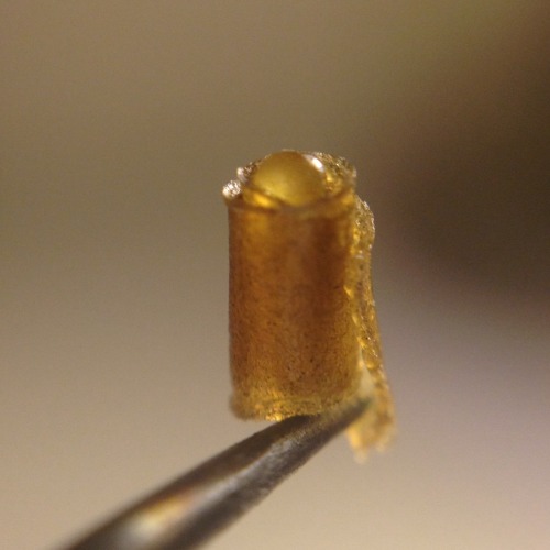 shine-my-way:  Phantom Og flower rosin made with love, making this stuff is so rewarding. ✨🔶💛🔆 (the first three pictures have hash with flower rosin and picture 7 is ravioli, mixed micron headband hashish pasta and liquid coke OG filling ;)