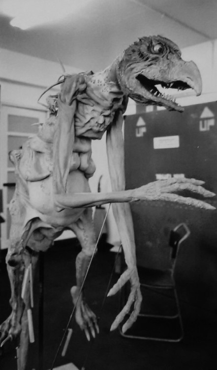 themuppetmasterencyclopedia - Skeksis Chamberlain Nude